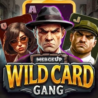 Wild Card Gang game cover